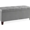 Erin Gray Padded Shoe Storage Ottoman